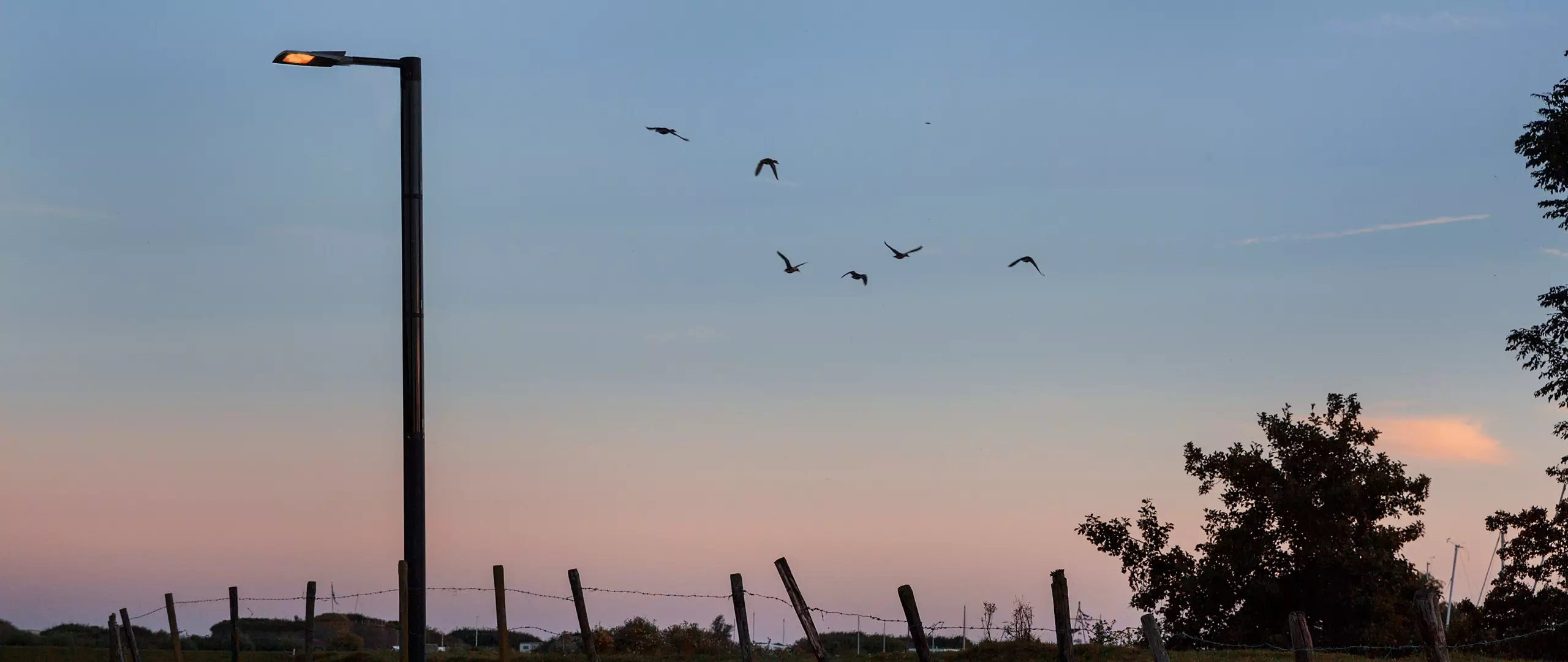 solar light pole wildlife friendly Passive safety column for solar street light