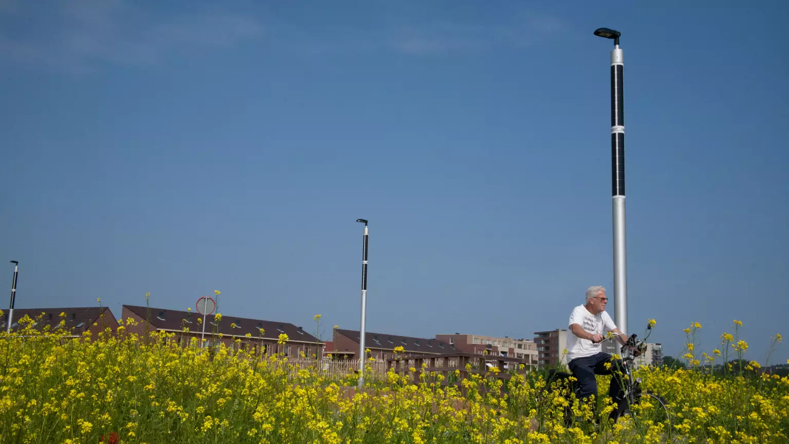 Solar light pole eco lighting in beautiful flower field