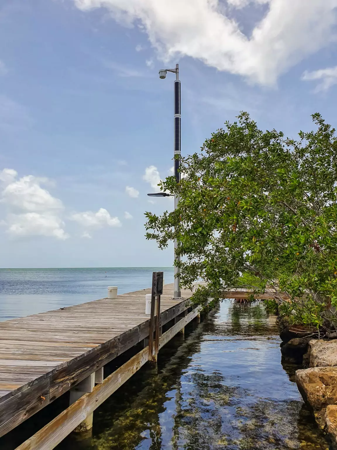 Turtle-friendly lights solar powered
